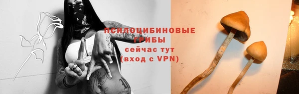 mdpv Белокуриха