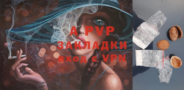 таблы Бородино
