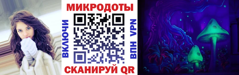 Псилоцибиновые грибы Psilocybe  купить наркоту  Гай 
