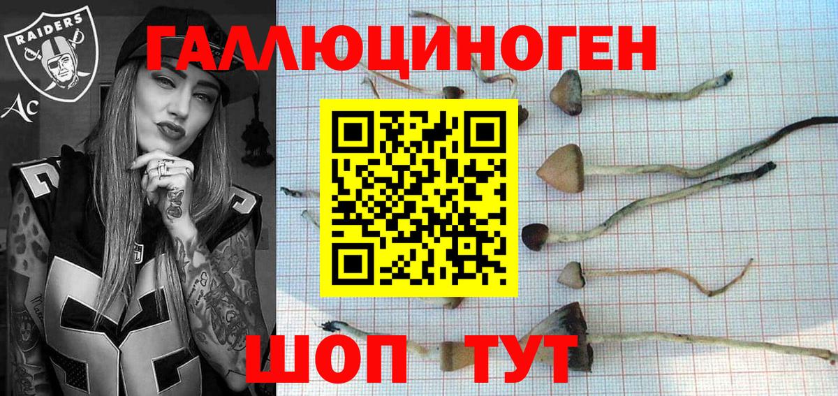 Галлюциногенные грибы Cubensis Гай