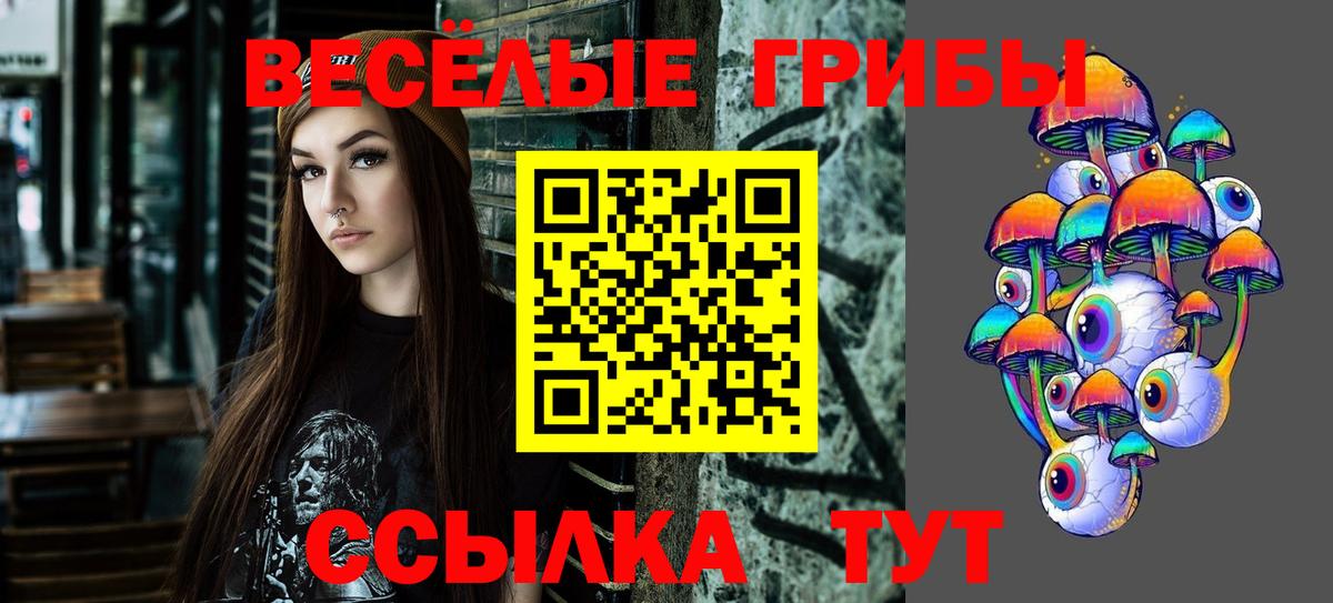 Гай  Псилоцибиновые грибы ЛСД  как найти закладки  Вход с VPN 