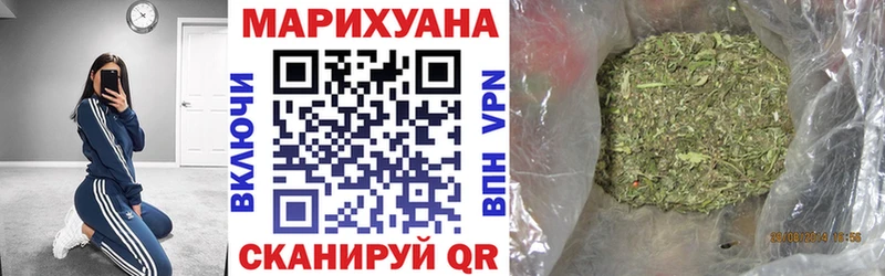 Канабис конопля  Гай 
